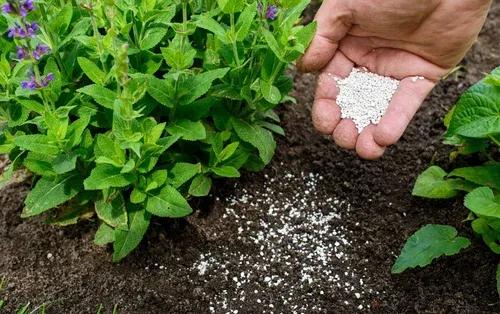 Nitrogenous Fertilizers Market Share Expansion and Forecast 2034