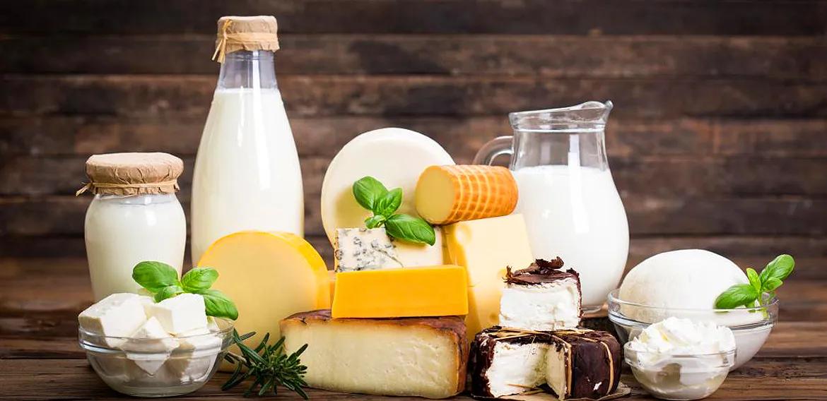 Dairy Product Market Size, Share, Trends and Forecast Insights 2034