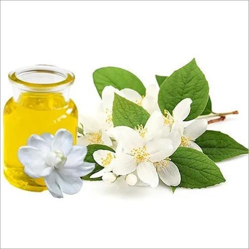 Jasmine Extract Market Trends, Growth Drivers and Forecast Outlook 2034