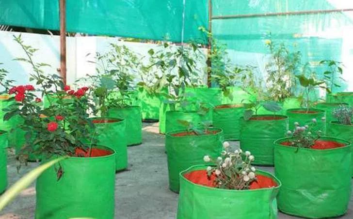Agricultural Grow Bags Market Growth Analysis and Future Trends 2034