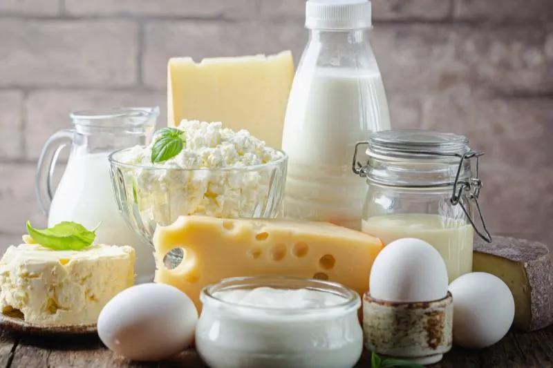 Dairy Starter Culture Market Industry Analysis and Forecast 2034