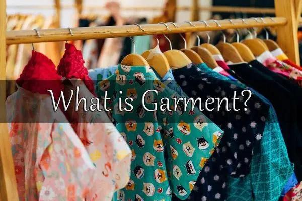 Garment Market Consumer Insights and Growth Forecast 2034
