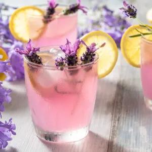 Beverage Flavoring System Market Non Alcoholic Beverages Outlook 2034